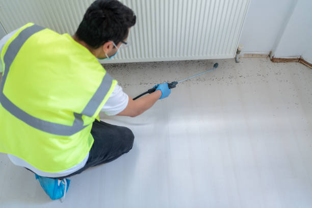 Best Fumigation Services  in Meadowdale, WA